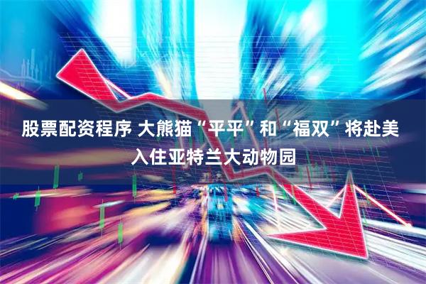 股票配资程序 大熊猫“平平”和“福双”将赴美 入住亚特兰大动物园